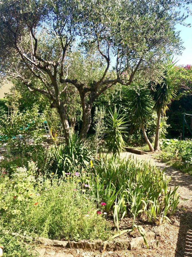 Apartamento Les Pinsons La Ciotat Exterior foto